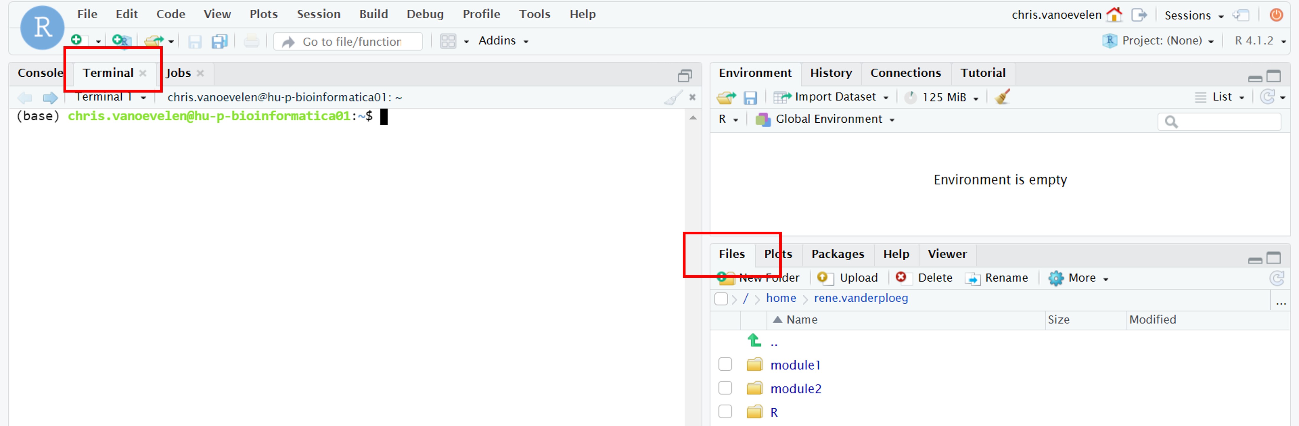 Rstudio interface with tabs for the terminal (left red box) and files (right)