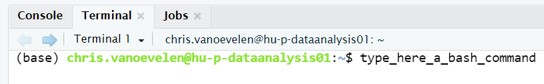 Rstudio terminal and bash commands 