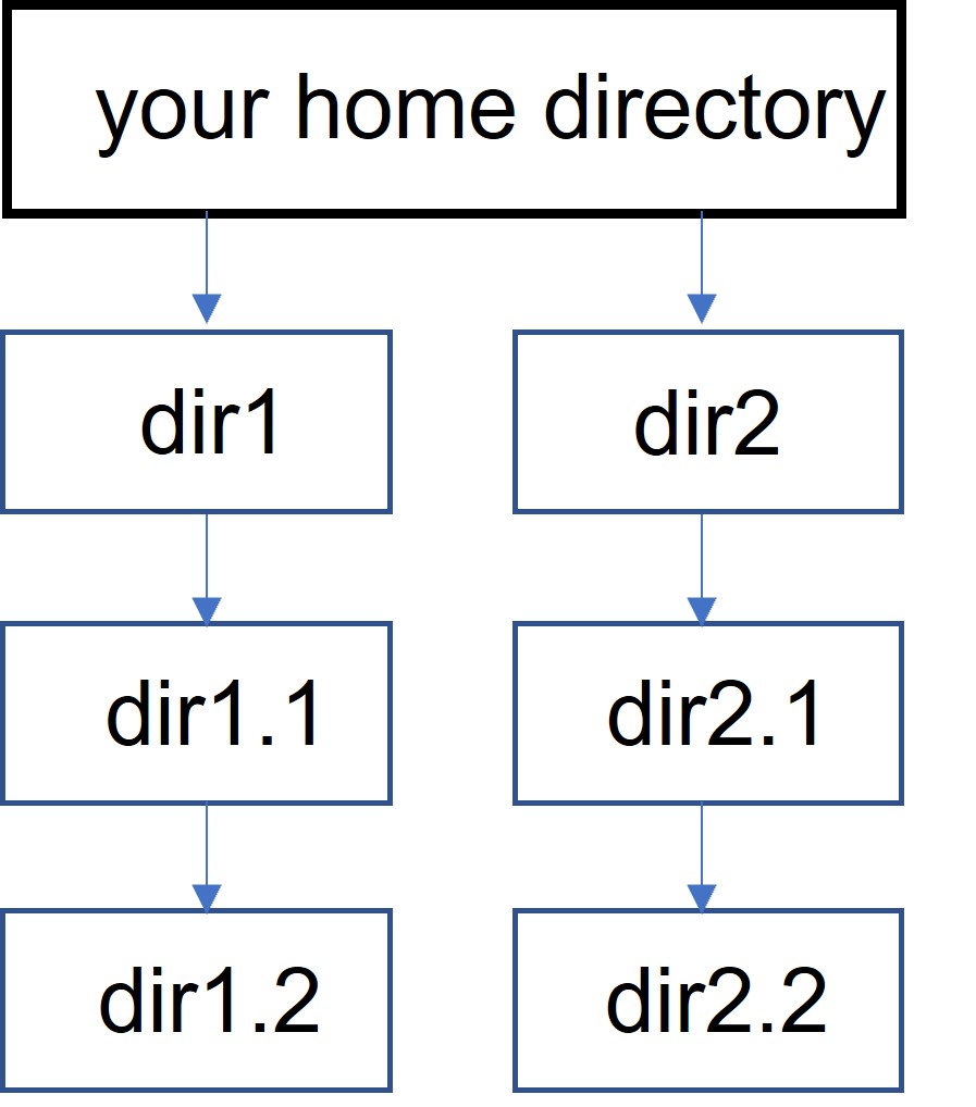 Hierarchical directory structure