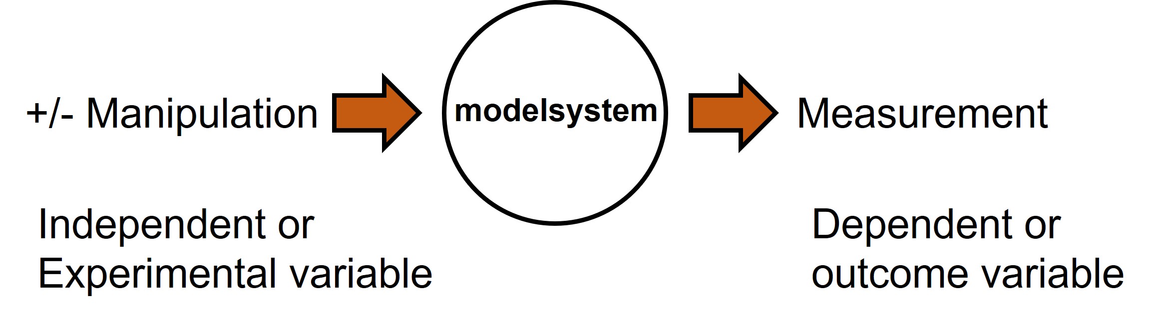 experimental and outcome variables in experimental design