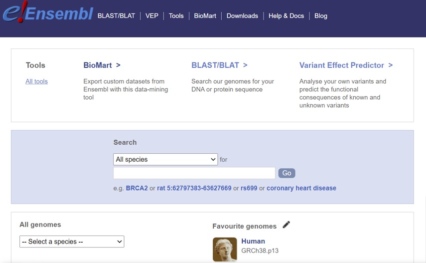 Ensembl database