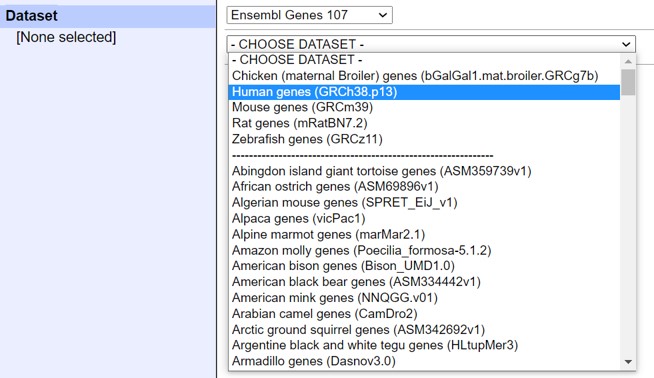 Ensembl dataset selection