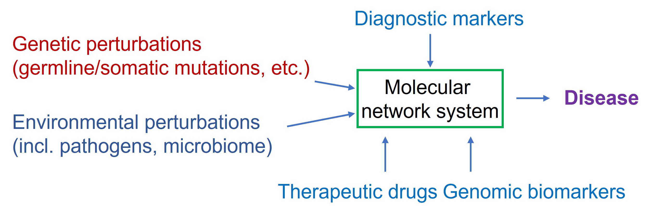 KEGG conceptual framework of a disease