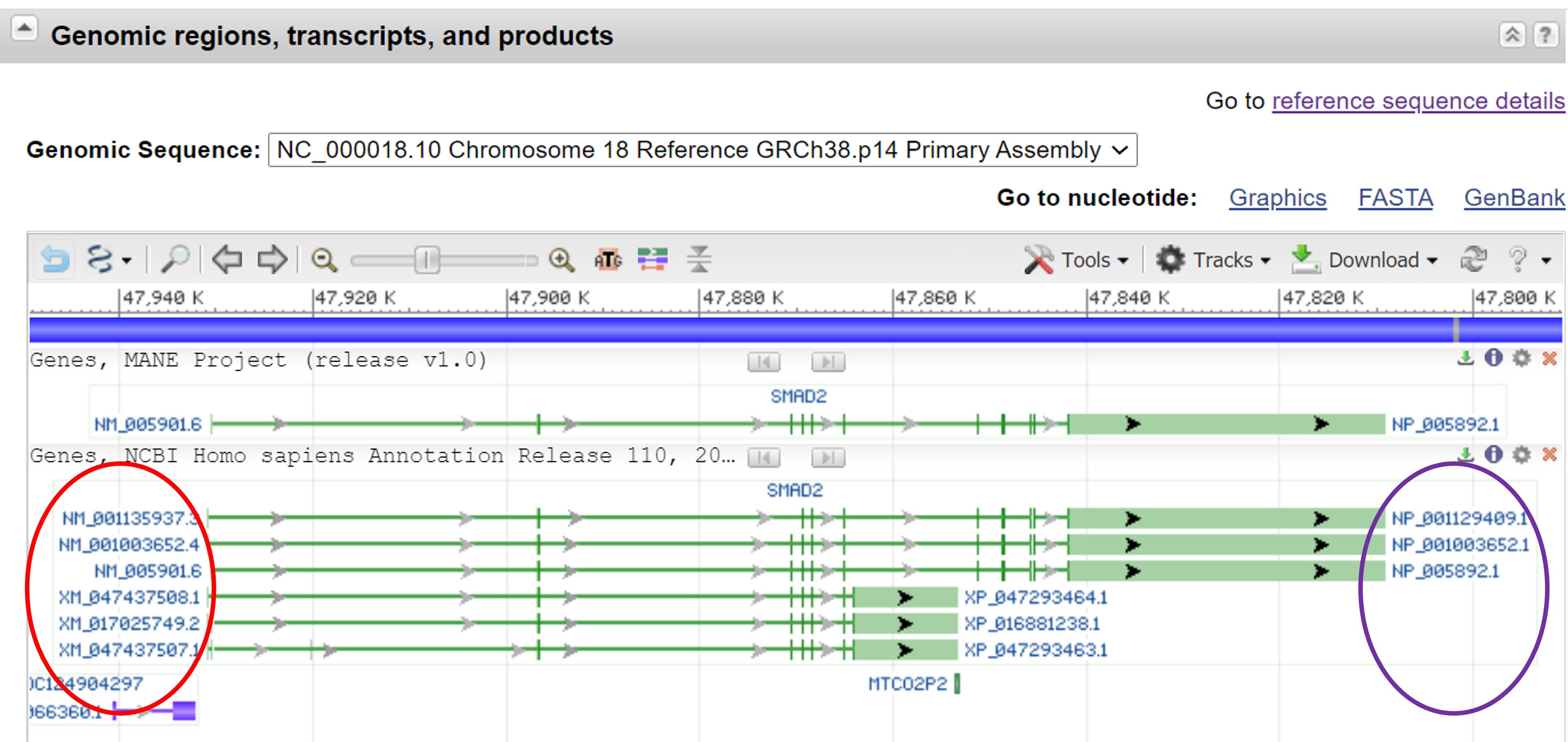 NCBI database: Genomic regions, transcripts, and products