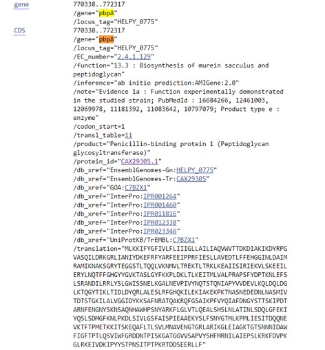 Bacterial genomes gene information