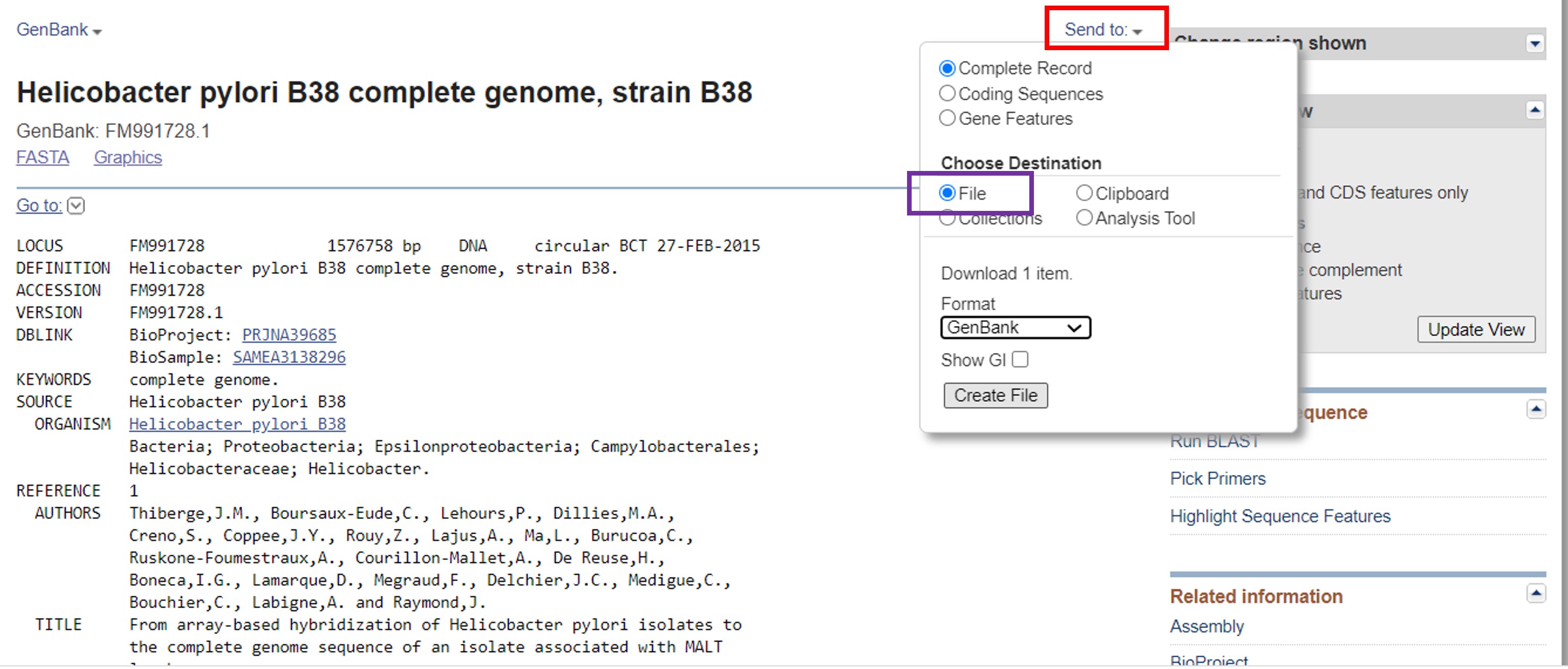 Bacterial genomes gene information download