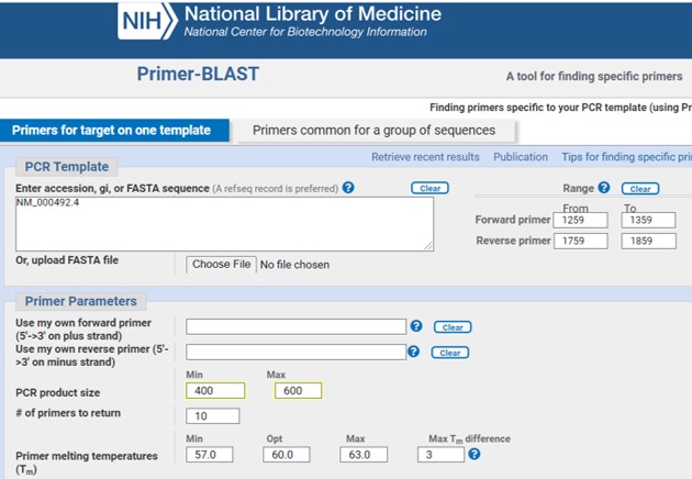 NCBI primer blast