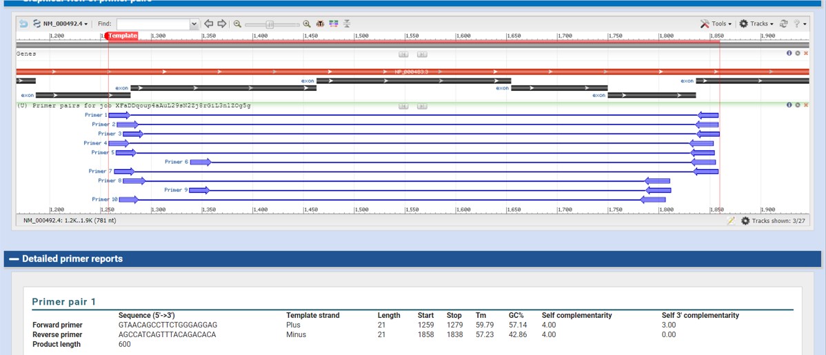 NCBI primer blast output