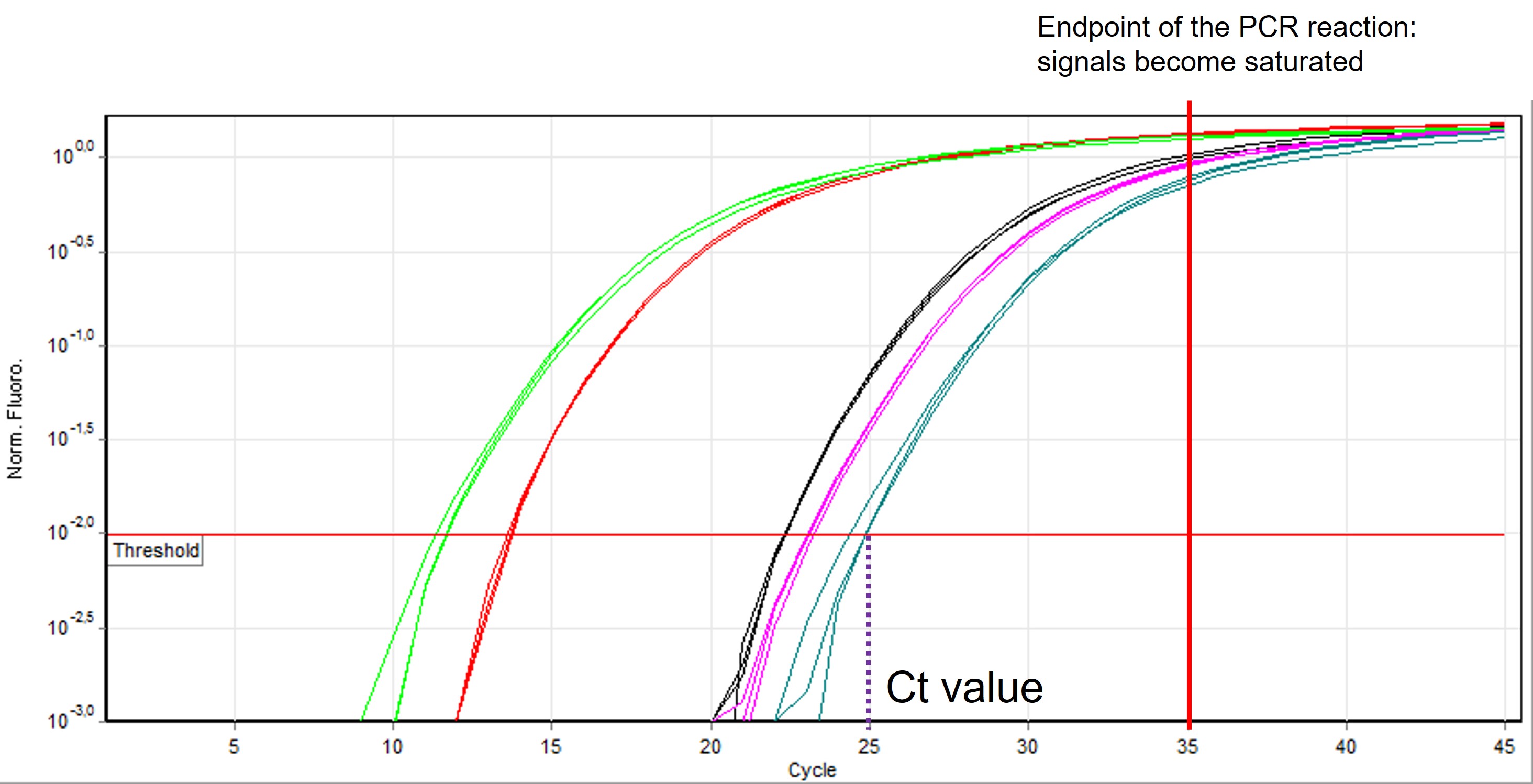 qRT-PCR output curve