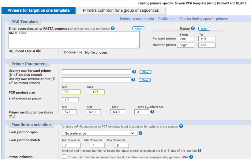 NCBI primer blast