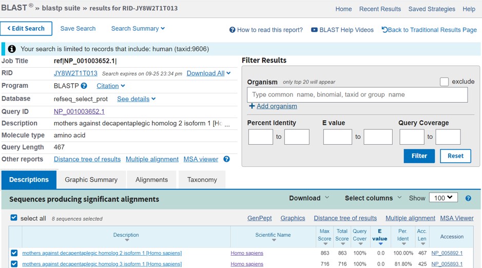 NCBI protein BLAST output