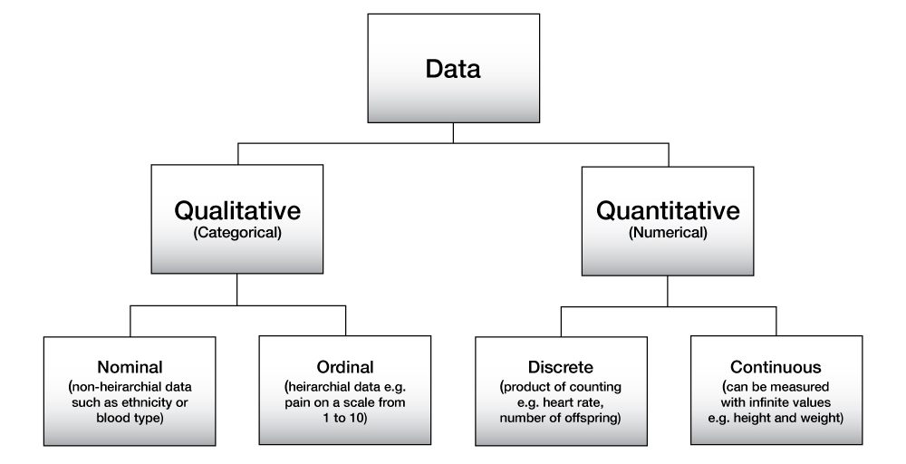 Data opgedeeld in de verschillende soorten.