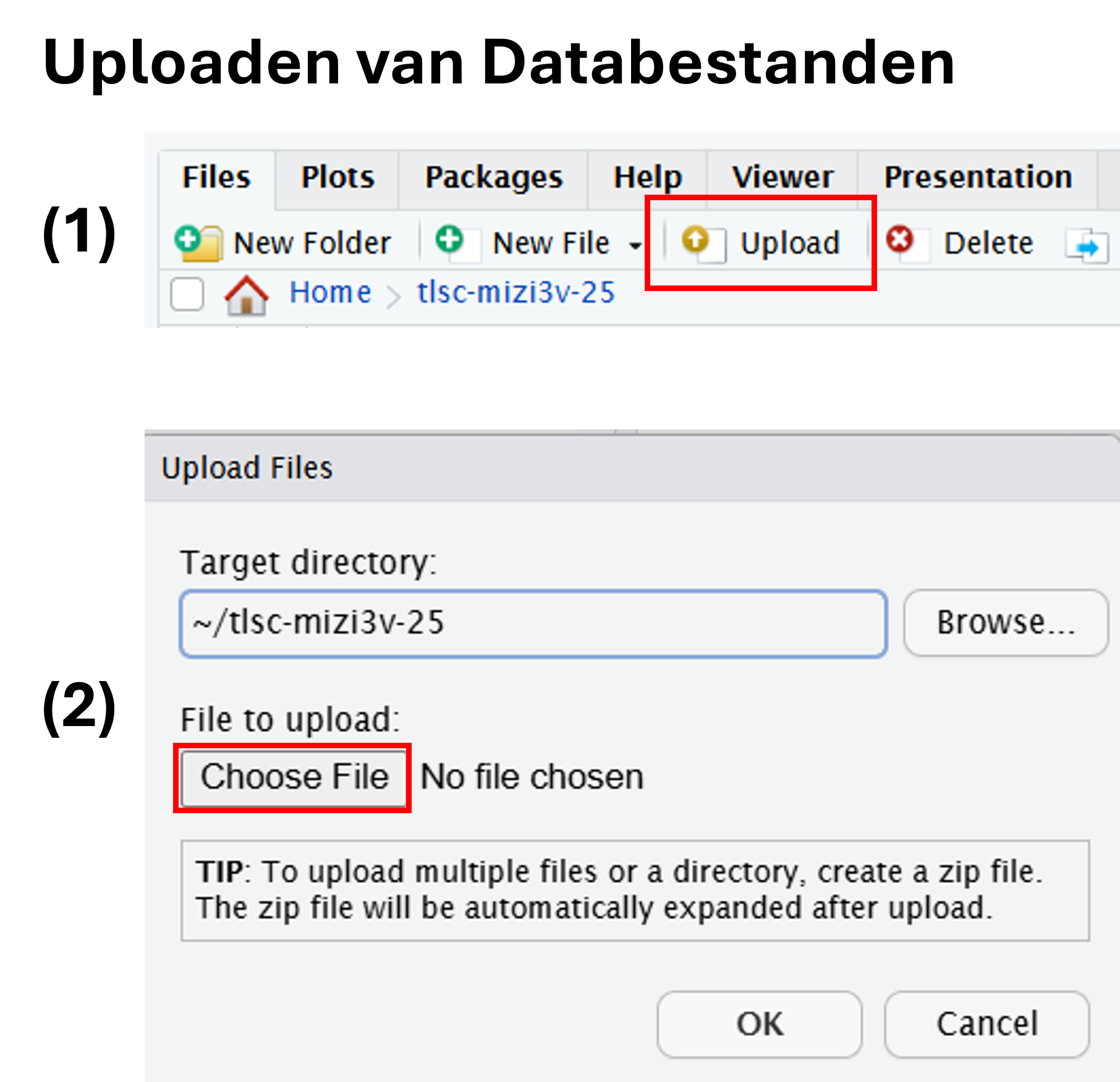 Uploaden van databestanden in Rstudio