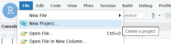 R project: file -> New Project