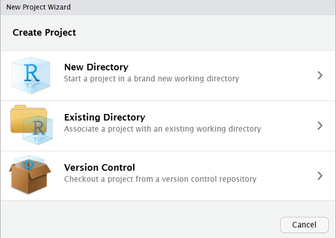 R project: Existing Directory