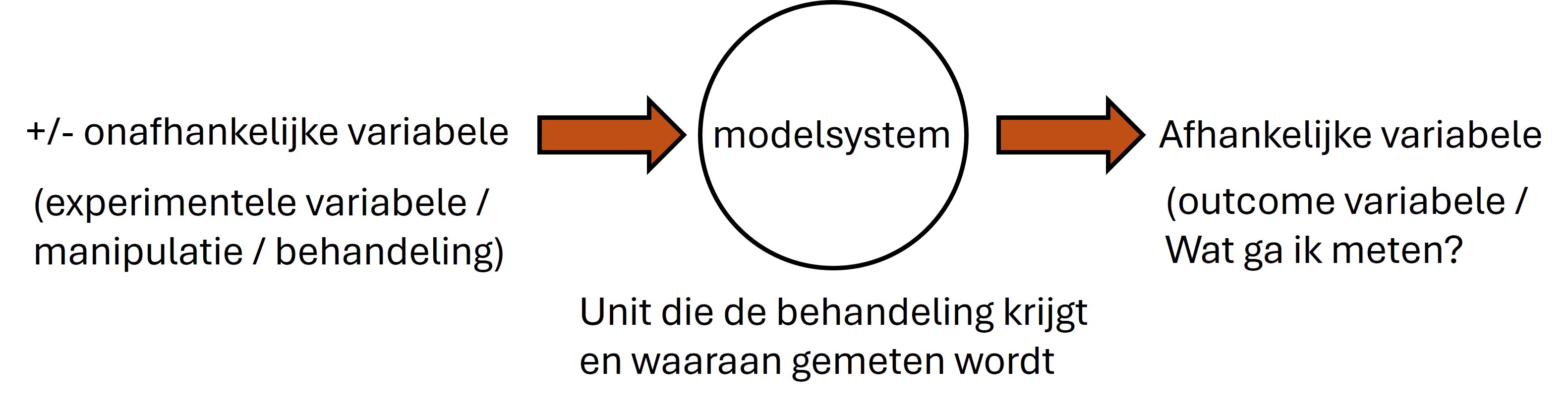 Een experiment bevat een onafhankelijke variabele, een modelsysteem en een afhankelijke variable.