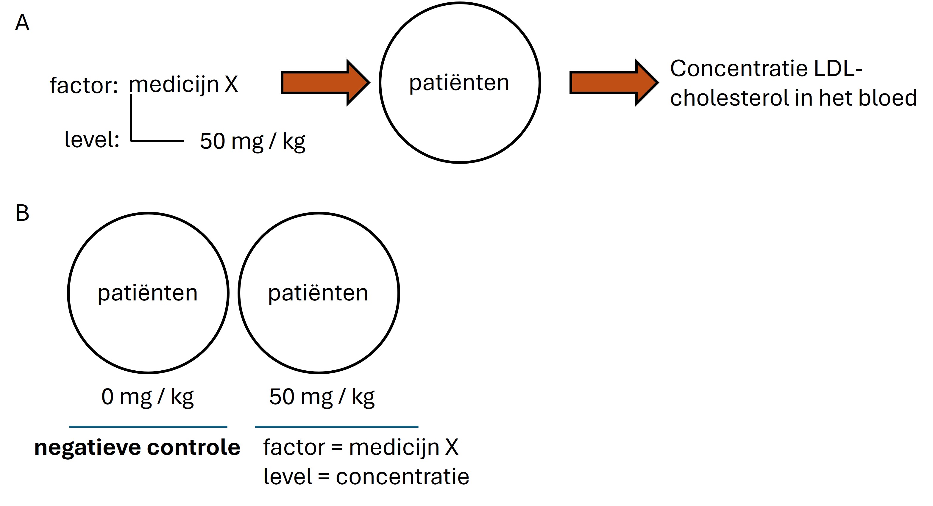 (**A**) De behandeling bestaat uit medicijn X met een concentratie van 50 mg / kg. (**B**) Het aantal experimentele condities bestaat uit de experimentele behandeling + een groep die de behandeling niet krijgt (=negatieve controle).
