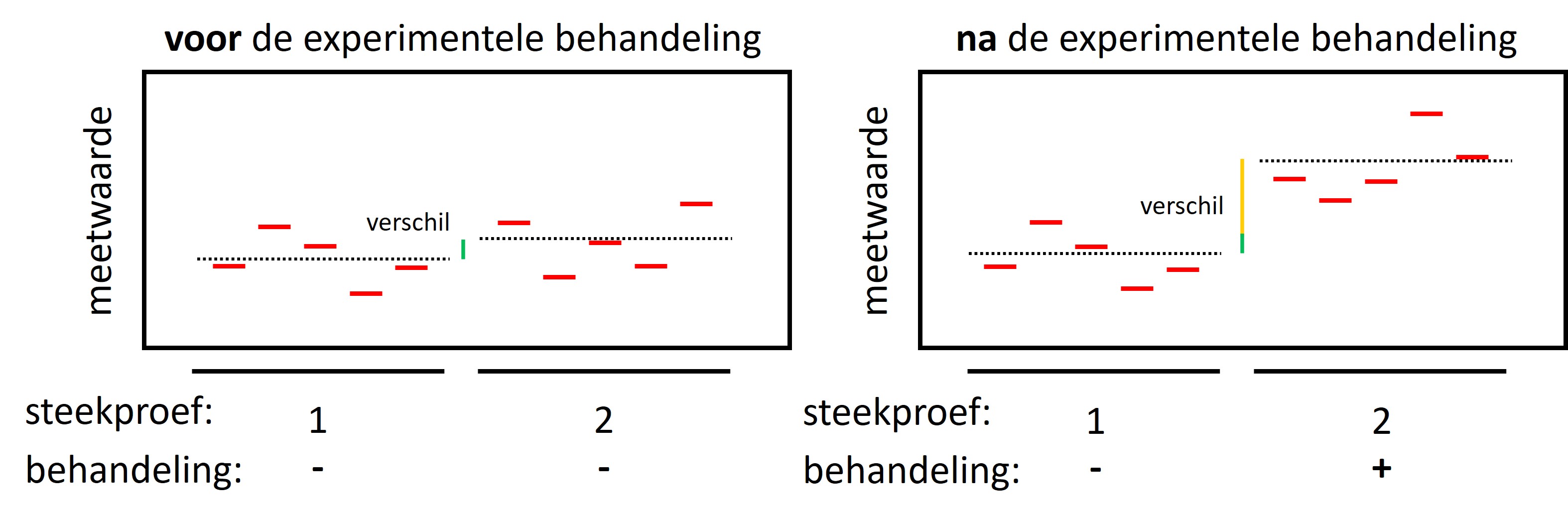 In een experiment is altijd natuurlijke variatie aanwezig in en tussen de groepen voorafgaand aan het experiment (linker figuur, n=5, de stippellijn geeft het gemiddelde weer). Een verschil tussen de experimentele groepen na de behandeling wordt veroorzaakt door de natuurlijke variatie (groene gedeelte van de verticale lijn) + het eventuele effect van de behandeling (gele gedeelte van de verticale lijn)