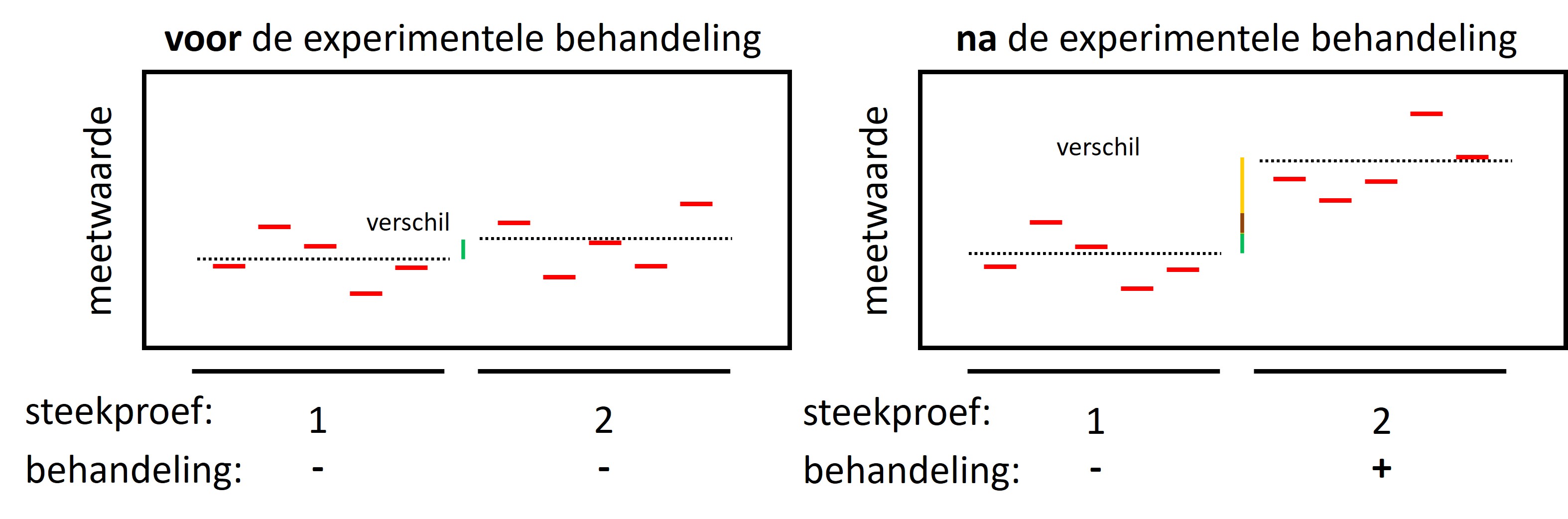 In een experiment is altijd natuurlijke variatie aanwezig in en tussen de groepen voorafgaand aan het experiment (linker figuur, n=5, de stippellijn geeft het gemiddelde weer). Een verschil tussen de experimentele groepen na de behandeling wordt veroorzaakt door de natuurlijke variatie (groene gedeelte van de verticale lijn) + technische variatie (bruine gedeelte van de verticale lijn) + het eventuele effect van de behandeling (gele gedeelte van de verticale lijn)
