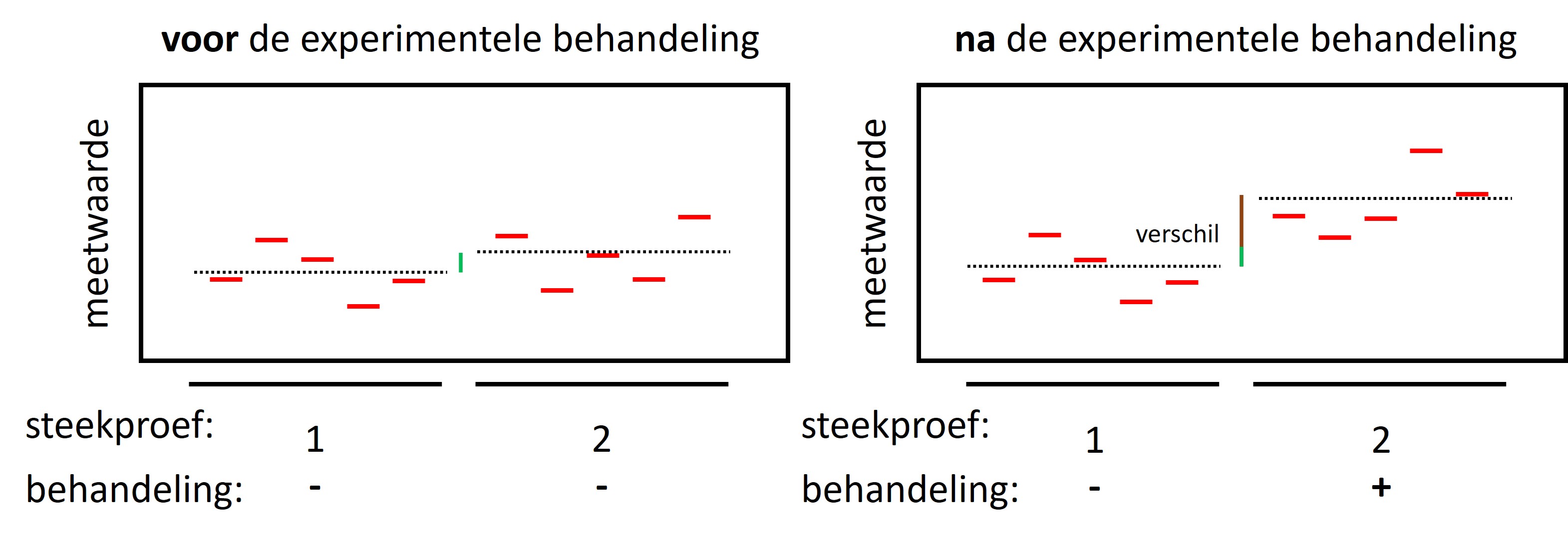 Er is een verschil na de experimentele behandeling tussen de experimentele groepen, maar dit verschil kan verklaard worden door de technische variatie
