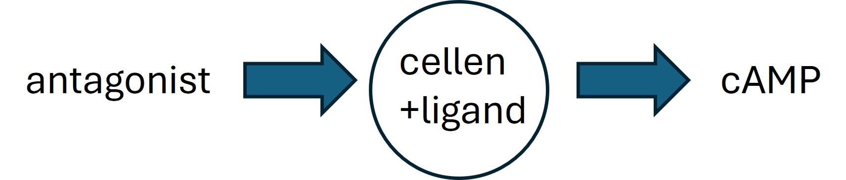 Schema voor experimenteel ontwerp
