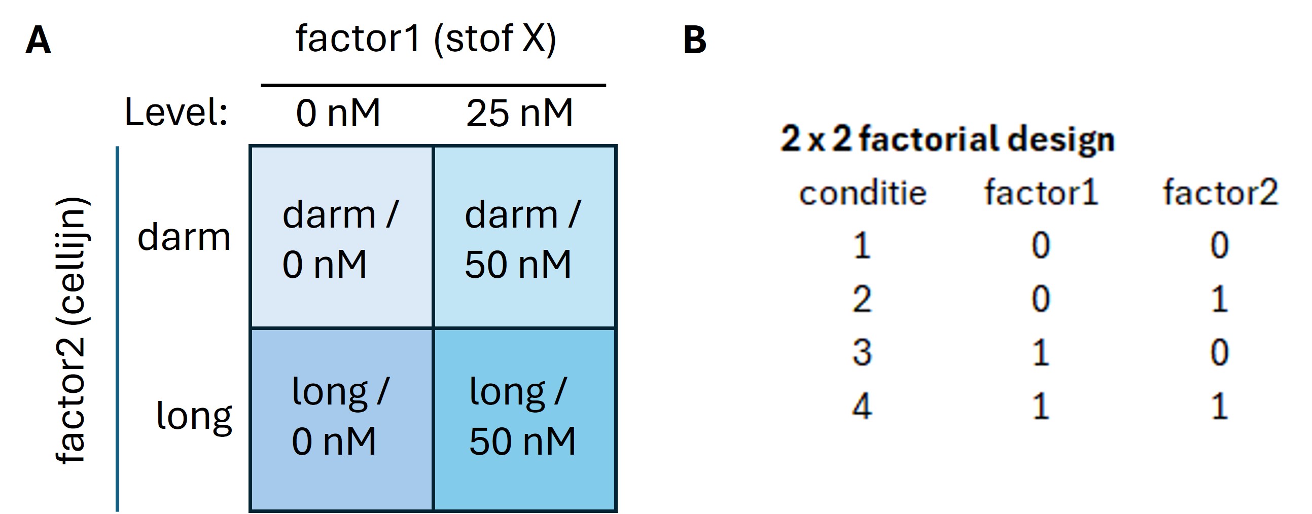 2 x 2 kruisdiagram van een two-way experimenteel ontwerp. Iedere factor heeft 2 levels