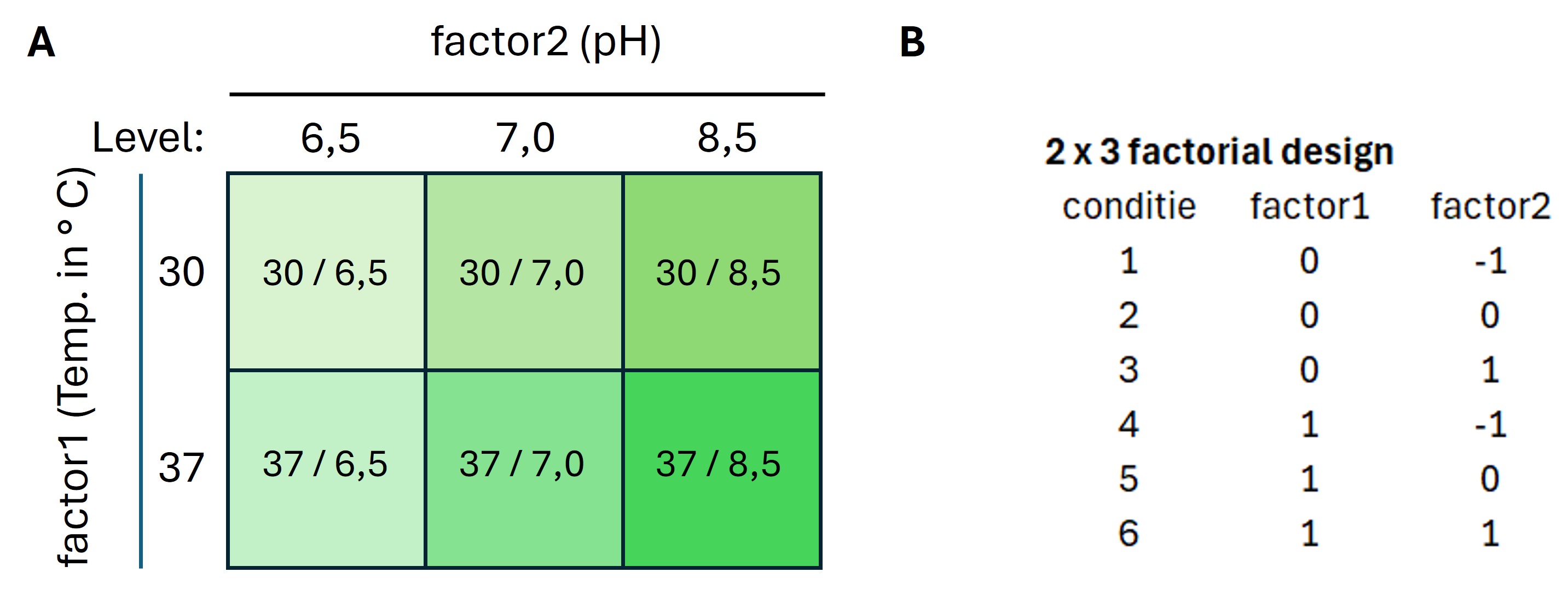 2 x 3 kruisdiagram van een two-way experimenteel ontwerp. Factor1 heeft twee levels en factor2 heeft 3 levels
