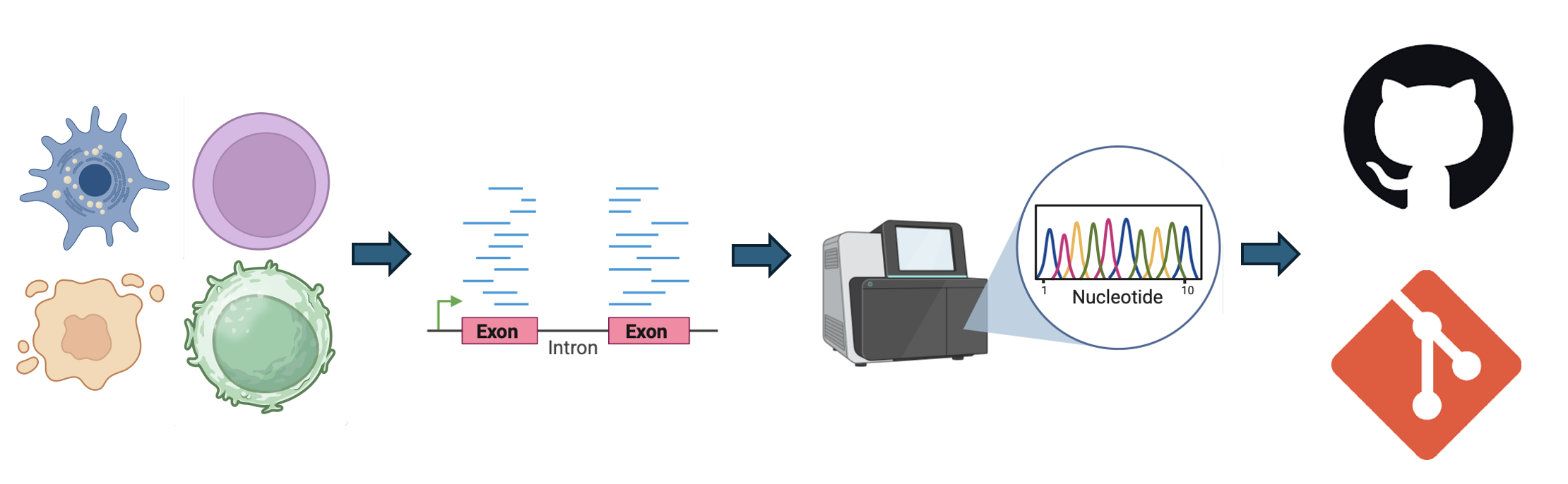 Workshop: Git en GitHub | _main.knit